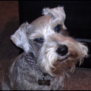 Meet your Posher, Cindy